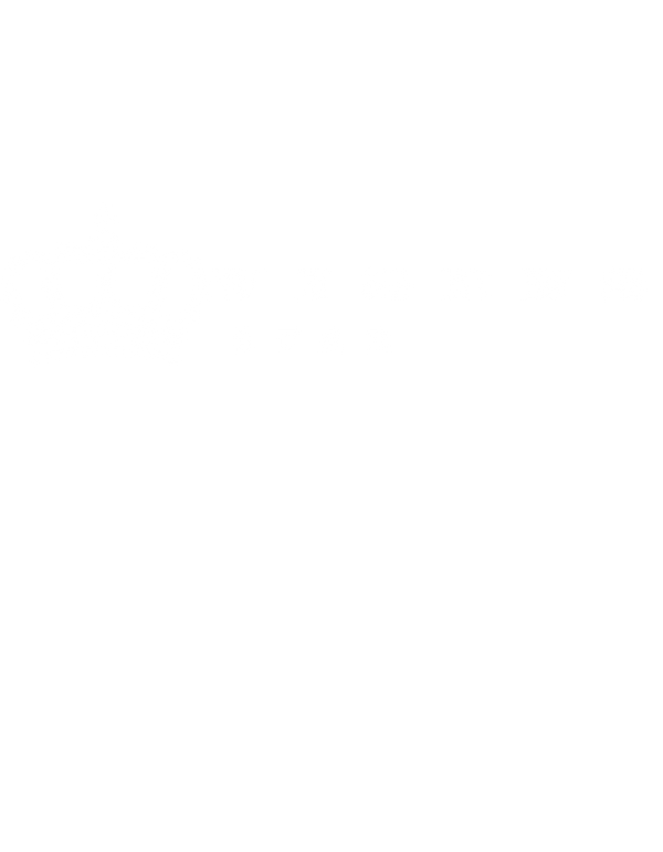 VIGENSTAR MARKET